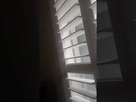florida rain why???