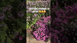 Mailbox flower bed update #update #progress #shorts #newsong