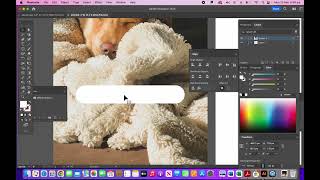 APP DESIGN TUTORIAL 2