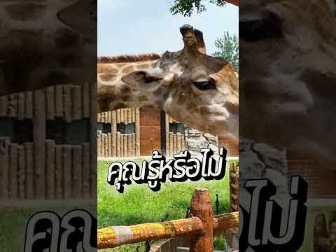#คลิปตลก #คนไทยเป็นคนตลก55555
