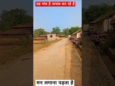 यह गांव है जनाब कर रहे हैं मन लगाना पड़ता है ! #village #shortsfeed #shortsviral #trending #shorts