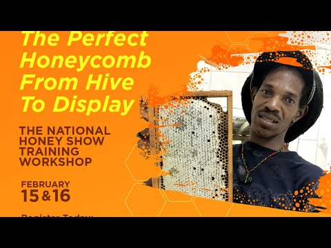 Honey Show Training Seminar (Day 2)