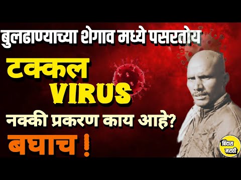 बुलढाणा मध्ये टक्कल virus पसरतोय ! बघा खर कारण काय?#buldhana #takkalvirusinbuldhana #bindasmarathi