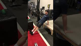 Reverse Plank