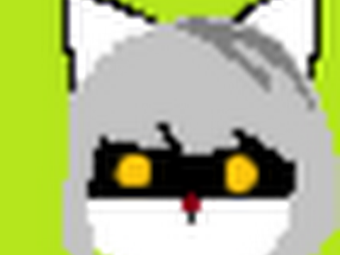 Terra D'vine plays Night In The Woods