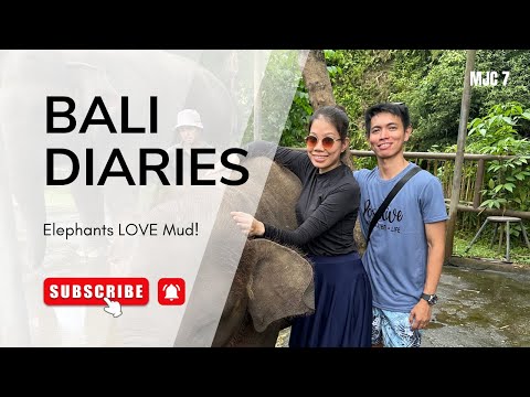 Elephant Mud Fun | BALI DIARIES | Bali Zoo | MJC7