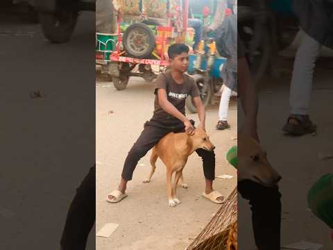 #ফানি_ভিডিও #funnyshorts #randomvideo #funnyshortvideo #busylifeeasyvlog #funnymemes #NAS