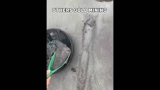 other Gold Mining