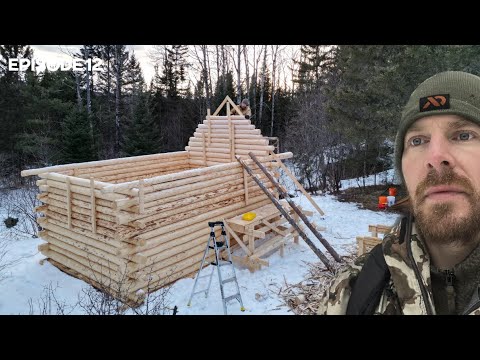 Winter Log Cabin Build on Off-Grid Homestead |EP12|