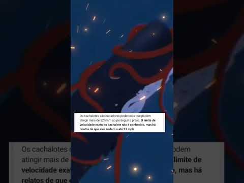 megalodonte vs cachalote(obrigado pelos 100 inscritos 🥳)