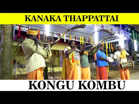 Exploring the Enchanting Kanaka Thampattam: India's Vintage Emperor's Music Instrument