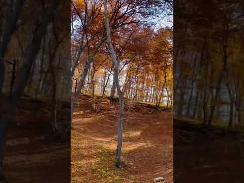 Perfect autumn