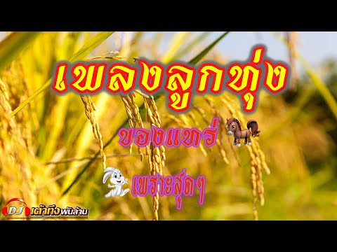 อัลบั้มเพลงลูกทุ่งของแทร่ เพราะสุดๆ