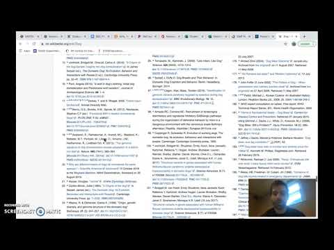 WikiPedia Lesson intro