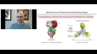 Precision high-throughput antibody screening against difficult targets