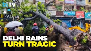 Tree Collapse In Delhi's Kalkaji: 1 Dead, 2 Injured, 1 Car Hit