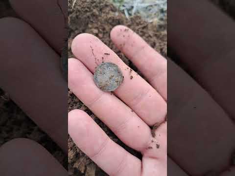 1782 Spanish half real 2/16/23