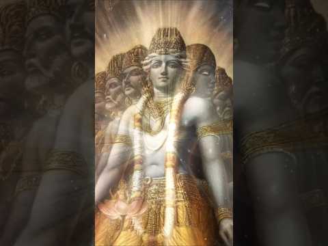 Hare Krishna ❤️ #sanatandharma #krishna #viratroop #arjun
