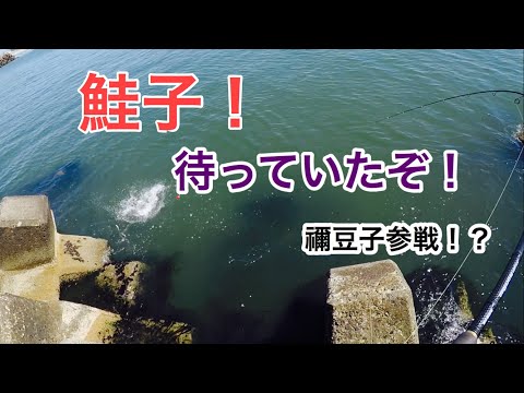 【鮭釣り】2020年度第一号を釣り上げろ！ の巻き