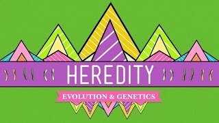 CBSE Class 10th - Biology - Heredity and Evolution Part 1 (Hindi)