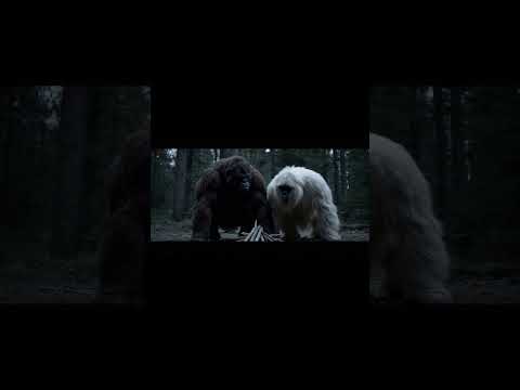 Getting tired of Ralph… #bigfoot #bigfootvlog #yeti #ai #fire #funny #comedy #wildlife #viral