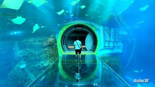 ENORMOUS SeaWorld INDOOR Theme Park! Tour of the World's Largest Indoor Marine-Life Theme Park