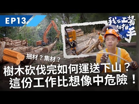 樹木砍伐完後該如何送木材下山？伐木這份工作比想像中危險！｜我在工場拍拍手｜EP13伐木製材｜公視+免費收看