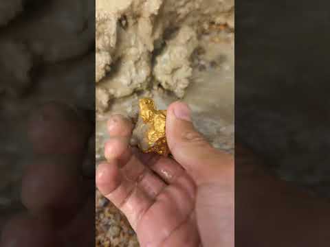 gold hunting adventure #goldhunter #minergold