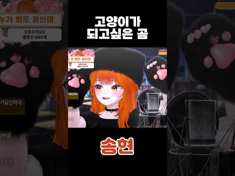 고양이라구요!!!!!!!!!!!!!