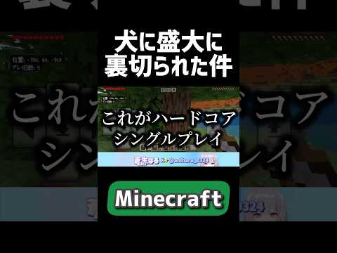 犬に盛大に裏切られました