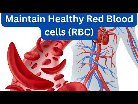 Maintaining And Improving Red Blood Cell (RBC) health | Health Hub