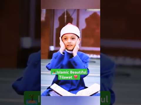 Islamic Beautiful Tilawat 😍 #IslamicTilawat #QuranRecitation #BeautifulTilawat #IslamicVideo