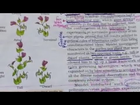 Principle of inheritance and variation NCERT -3 #biology #cbse12thbiology#neet#neetaspirents #tricks