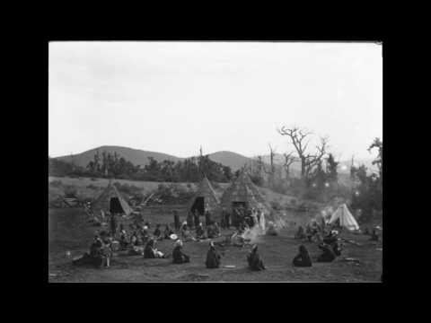 The Battle of Tribes