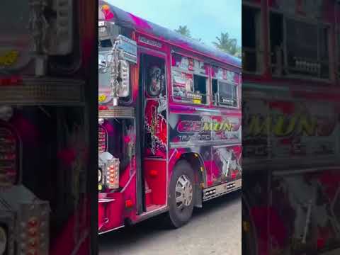 ඩගී අයියගෙ අතේ නැලවෙන💜මායා කිරිල්ලි😱😱😱 #trending #automobile #bus