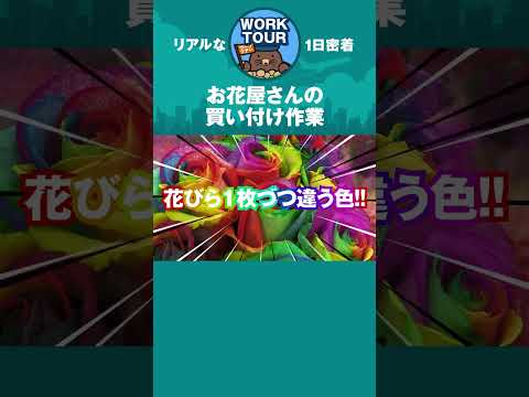 お花屋さんは市場で何しているの？　#shorts