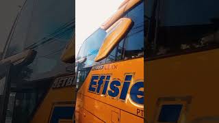 Comfort seat from ngapak city | Review bus Efisiensi | FOD Review 066 | #fodtv #efisiensi #bus