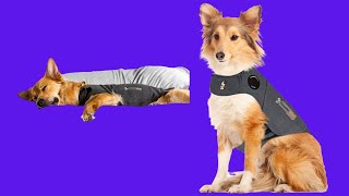 Before You Buy Thundershirt Classic Dog Anxiety Jacket