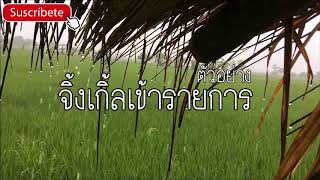 จิ้งเกิ้ลเข้ารายการ - รายการวิทยุ ผลิตสื่อเสียง