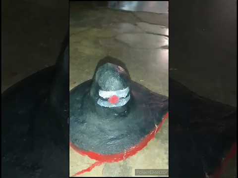How To Colour Shivling | #shivling #shivratrispecial #art #song #sorts #viral