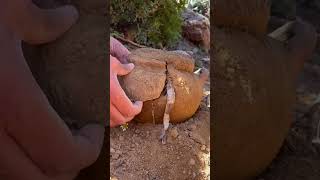 A man found gold in the river #shorts #goldmining #gold