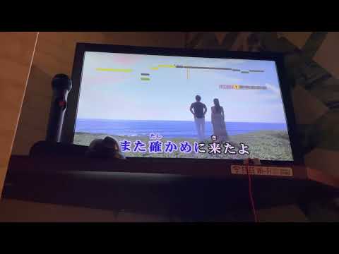 Circle Mrs.GREEN APPLE -2キー