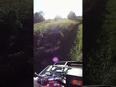 Always Gotta Be In The Lead#King Shepherd #ATV