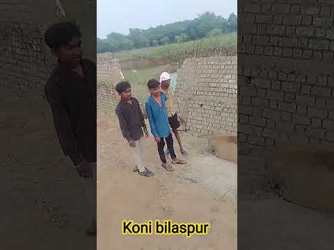 jai gaay mata 🙏🙏🙏 koni bilaspur #lifeisbutadream