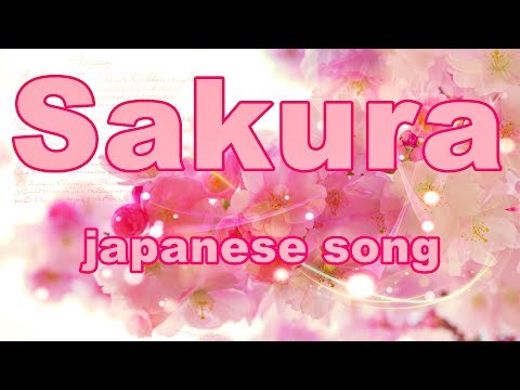 Sakura song🌸Japanese songs with romaji lyrics💎🌸CHERRY BLOSSOMS🌸