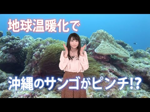 [気象関連動画]地球温暖化で沖縄のサンゴが危機？：沖縄