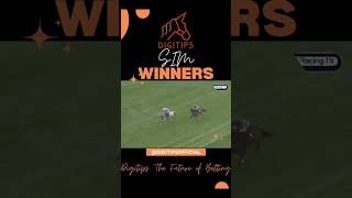 WEEKLY WINNERS 🏆🥇 Join Digitips to access our Speed Ratings SIM Model 📈 Nothing compares to our data