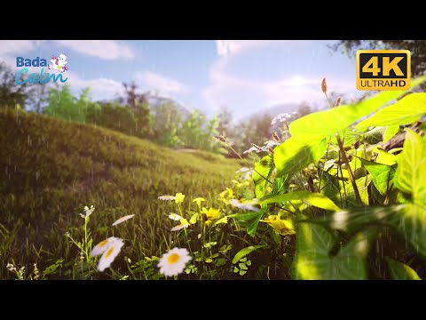 [4K] Nature Sounds for Kids | Rain in the Forest | Badanamu Calm