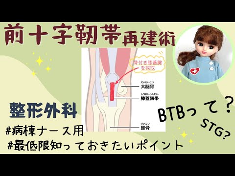 BTB?STG??前十字靭帯再建術★病棟ナースも知ってたほうが◎#看護師#整形外科#勉強