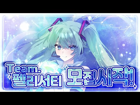 【TEAM. 펠리서티】 1차 모집을 시작합니다 ☻